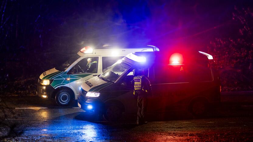 Trakų rajone į medį rėžėsi nuo policijos sprukęs BMW