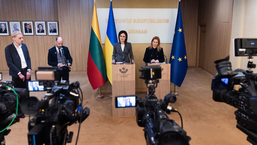 Seimo pirmininkės ir Ukrainos vicepirmininkės spaudos konferencija