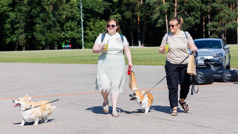 Korgių lenktynės Vingio parke