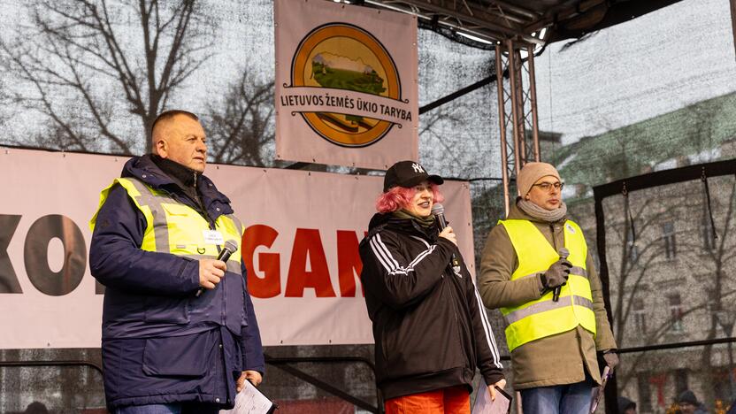 Vilniuje prasidėjo žemdirbių mitingas