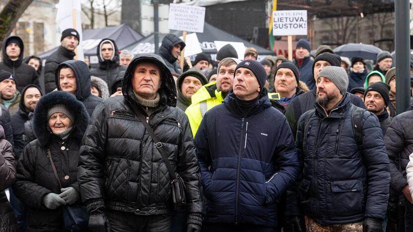 Vilniuje prasidėjo žemdirbių mitingas