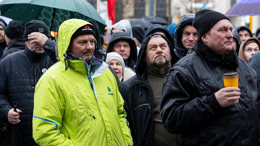 Vilniuje prasidėjo žemdirbių mitingas