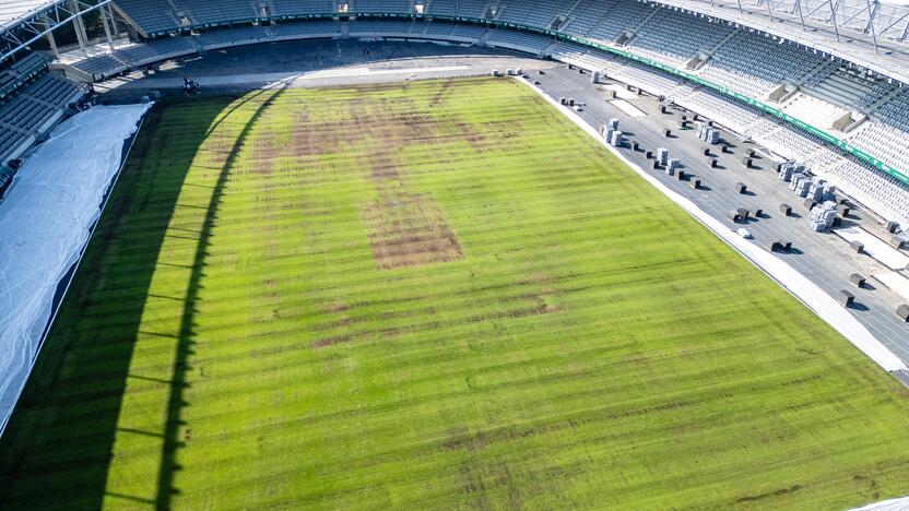 Dariaus ir Girėno stadiono veja