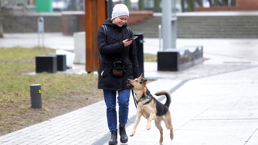 Privalo: keturkojams oras nesvarbus – tiek per lietų, tiek per pūgą šeimininkai priversti juos vesti į lauką.