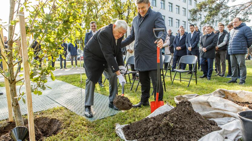 Patyręs: V. Adamkus juokavo, kad sodinti ąžuoliuką nebuvo sunku, nes jis tai darė ne pirmą kartą.