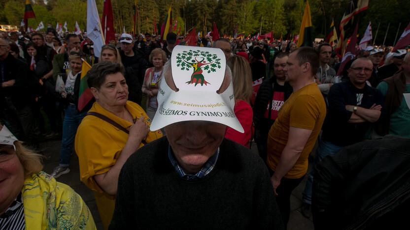 „Didysis šeimos gynimo maršas“ Vingio parke