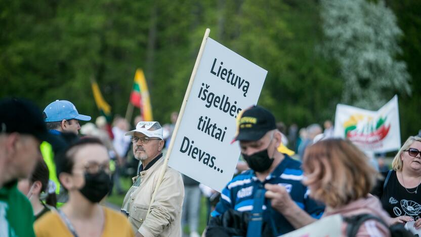 „Didysis šeimos gynimo maršas“ Vingio parke