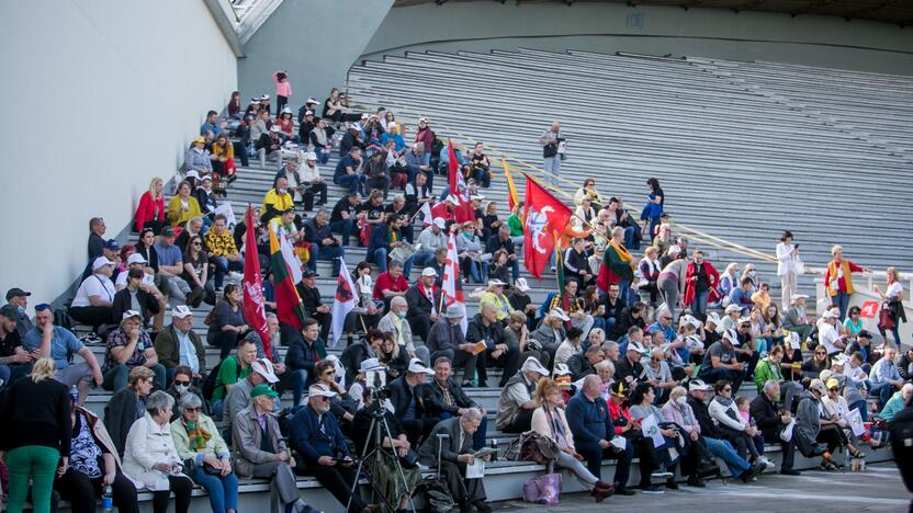 „Didysis šeimos gynimo maršas“ Vingio parke