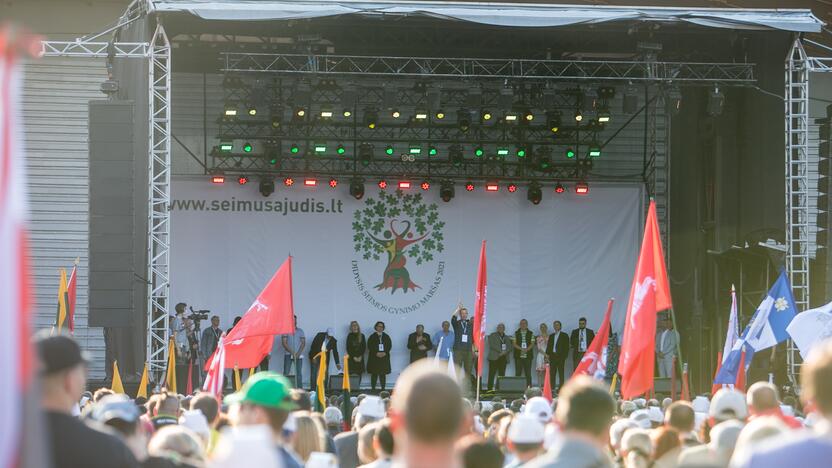 „Didysis šeimos gynimo maršas“ Vingio parke