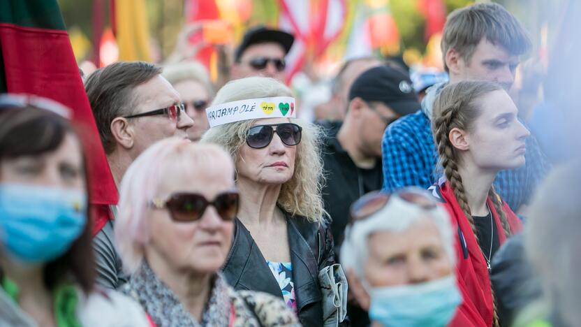 „Didysis šeimos gynimo maršas“ Vingio parke