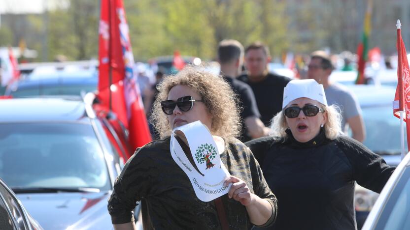 „Didžiojo šeimos gynimo maršo“ dalyvių pasiruošimas Akademijoje