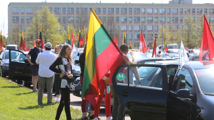 „Didžiojo šeimos gynimo maršo“ dalyvių pasiruošimas Akademijoje