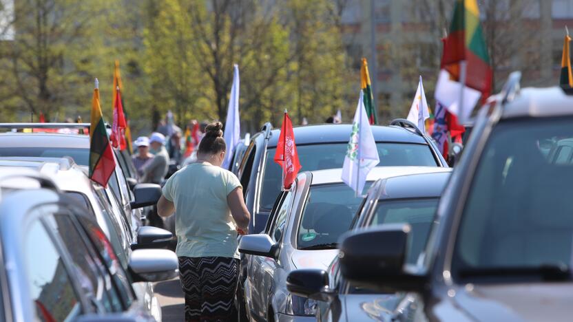 „Didžiojo šeimos gynimo maršo“ dalyvių pasiruošimas Akademijoje