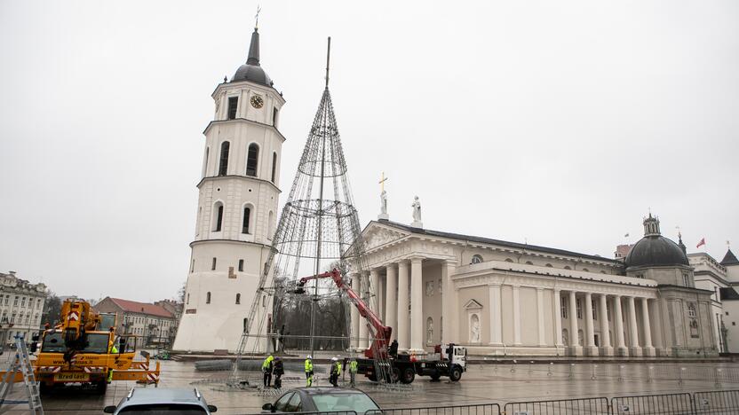 Katedros aikštėje pradėta statyti Vilniaus Kalėdų eglė