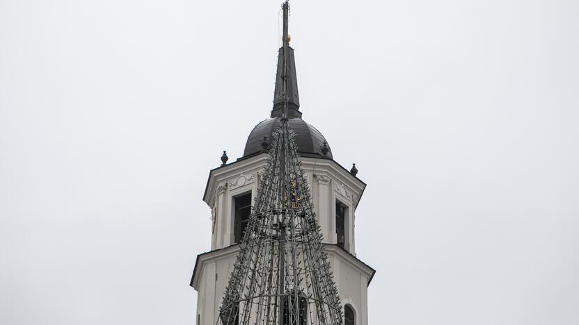 Katedros aikštėje pradėta statyti Vilniaus Kalėdų eglė