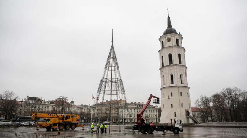 Katedros aikštėje pradėta statyti Vilniaus Kalėdų eglė