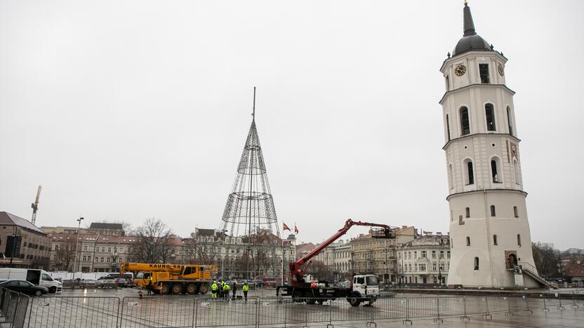 Katedros aikštėje pradėta statyti Vilniaus Kalėdų eglė