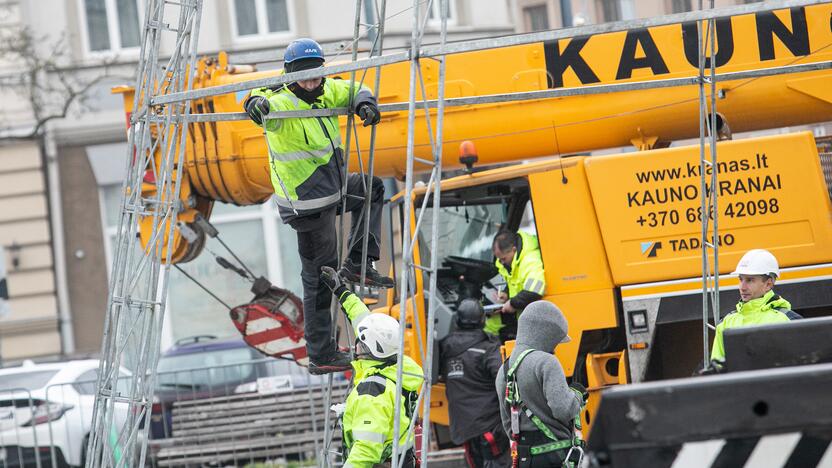 Katedros aikštėje pradėta statyti Vilniaus Kalėdų eglė