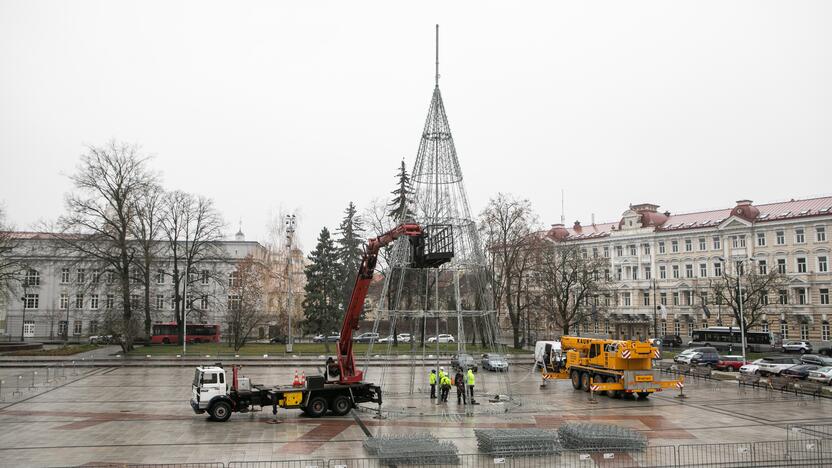 Katedros aikštėje pradėta statyti Vilniaus Kalėdų eglė