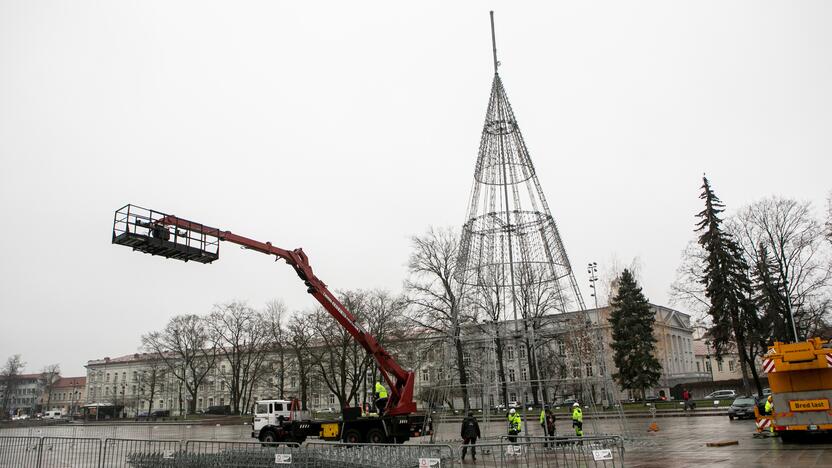 Katedros aikštėje pradėta statyti Vilniaus Kalėdų eglė