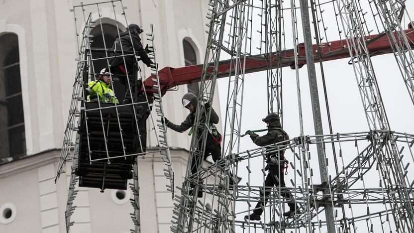 Katedros aikštėje pradėta statyti Vilniaus Kalėdų eglė