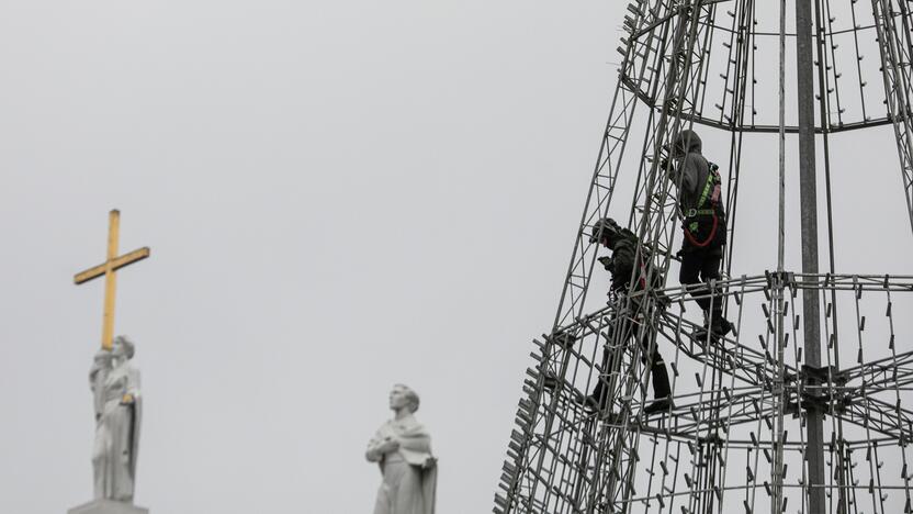 Katedros aikštėje pradėta statyti Vilniaus Kalėdų eglė