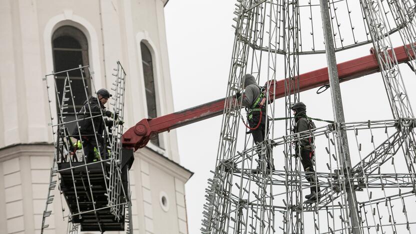 Katedros aikštėje pradėta statyti Vilniaus Kalėdų eglė