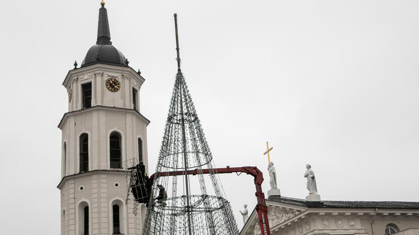 Katedros aikštėje pradėta statyti Vilniaus Kalėdų eglė