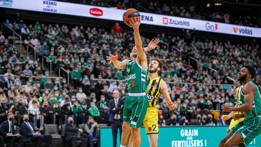 Kauno „Žalgirio“ ir Stambulo „Fenerbahče“ rungtynės