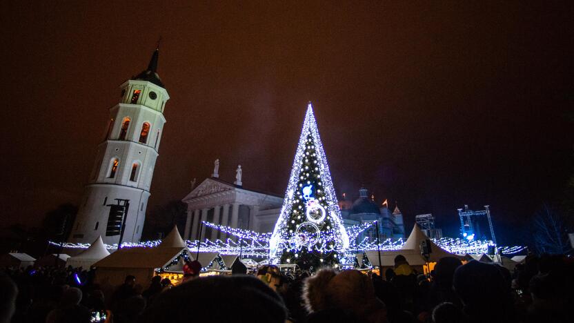 Sostinės Katedros aikštėje suspindo Kalėdų eglė