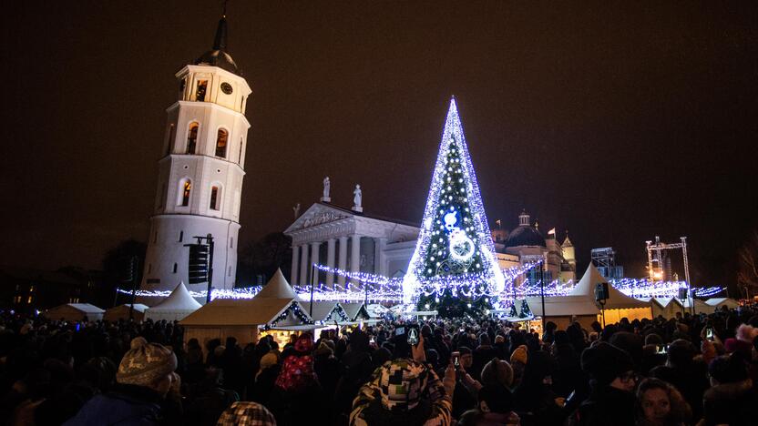 Sostinės Katedros aikštėje suspindo Kalėdų eglė