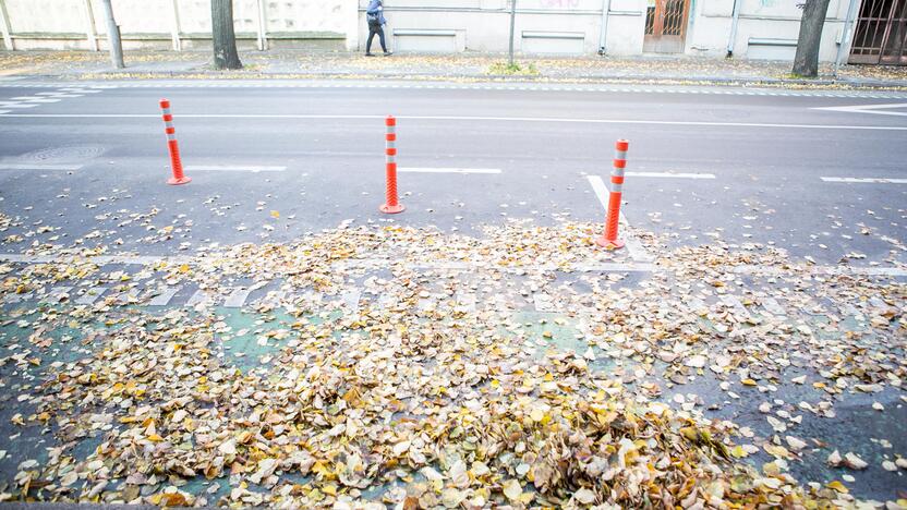 Rudeniniai lapai nuklojo Kauną