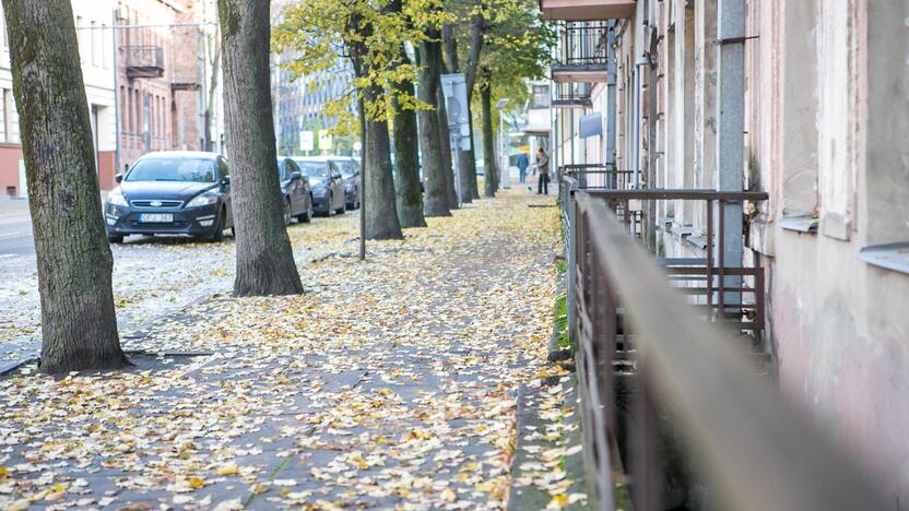 Rudeniniai lapai nuklojo Kauną