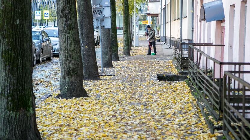 Rudeniniai lapai nuklojo Kauną