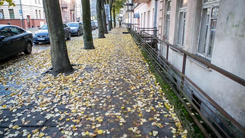 Rudeniniai lapai nuklojo Kauną