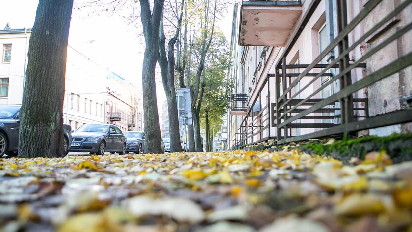 Rudeniniai lapai nuklojo Kauną