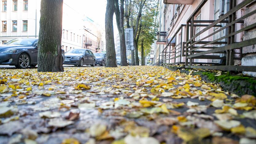 Rudeniniai lapai nuklojo Kauną