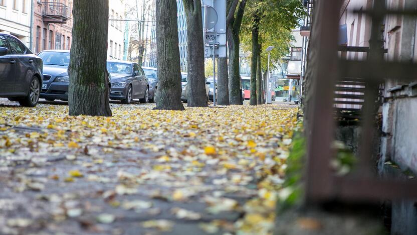 Rudeniniai lapai nuklojo Kauną