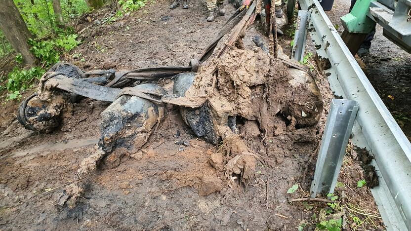 Aleksote aptikta mažiausiai pusšimtis aviacinių bombų