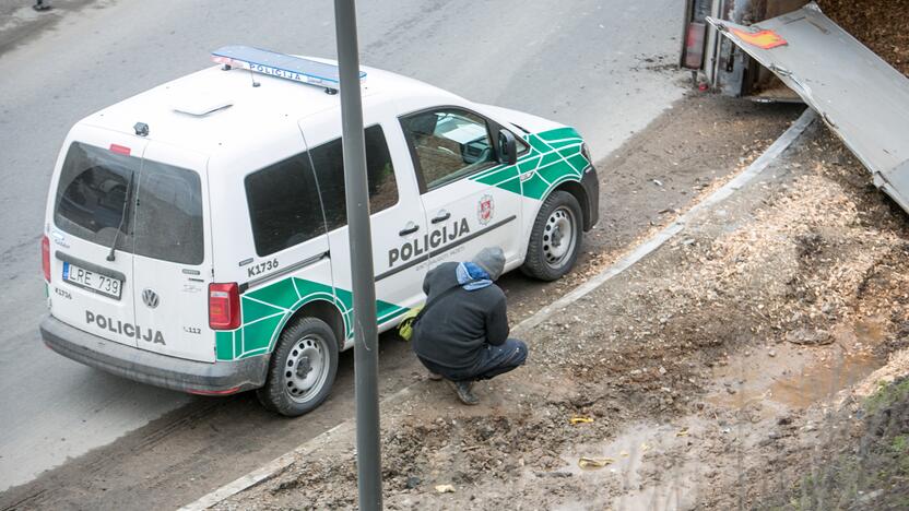 Ties Amalių pervaža apvirto vilkikas