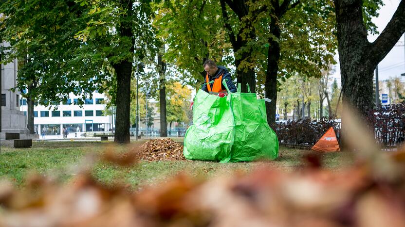 Patinka: didmaišiai – vizualiai gražūs, talpūs, patvarūs ir patogūs sudėti bei transportuoti.