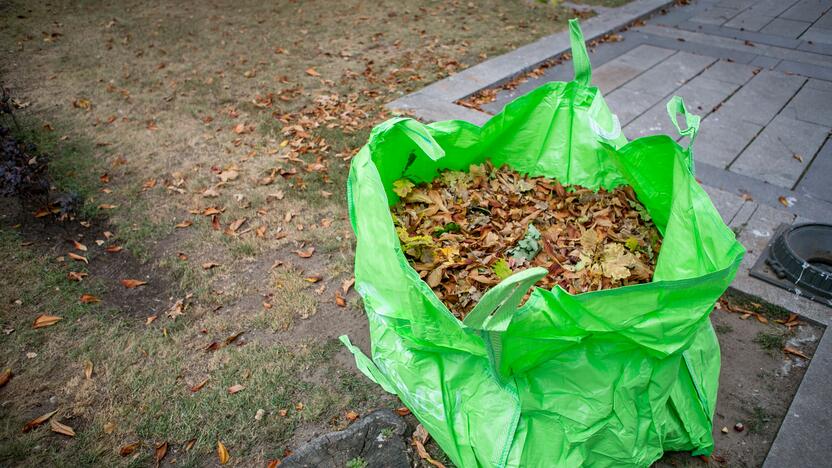 Patinka: didmaišiai – vizualiai gražūs, talpūs, patvarūs ir patogūs sudėti bei transportuoti.