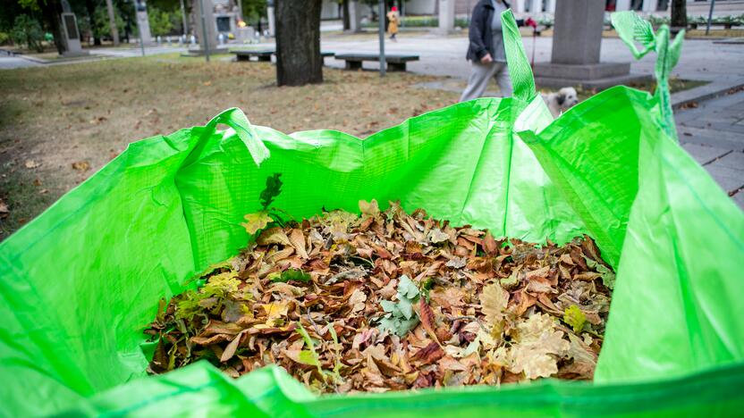 Patinka: didmaišiai – vizualiai gražūs, talpūs, patvarūs ir patogūs sudėti bei transportuoti.