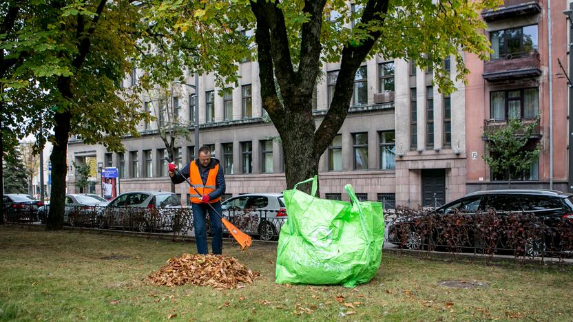 Patinka: didmaišiai – vizualiai gražūs, talpūs, patvarūs ir patogūs sudėti bei transportuoti.