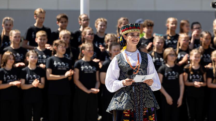 Dainų šventės vėliavos pakėlimo ceremonija Vilniuje