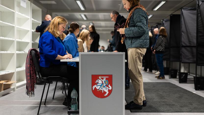 Prasidėjo balsavimas antrajame Seimo rinkimų ture