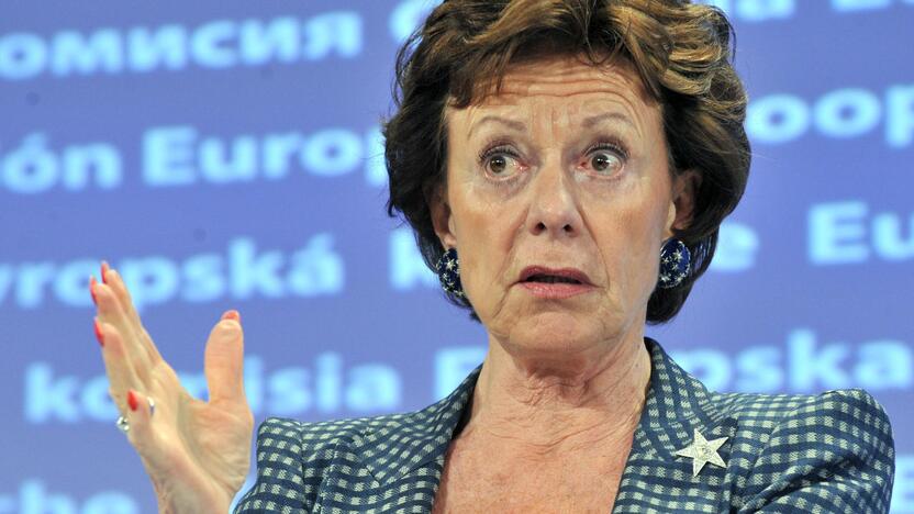 Neelie Kroes