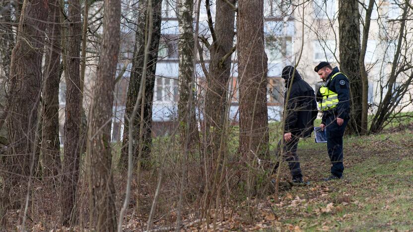 Galimai pagrobtos mergaitės paieška Vilniuje