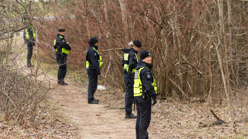 Galimai pagrobtos mergaitės paieška Vilniuje