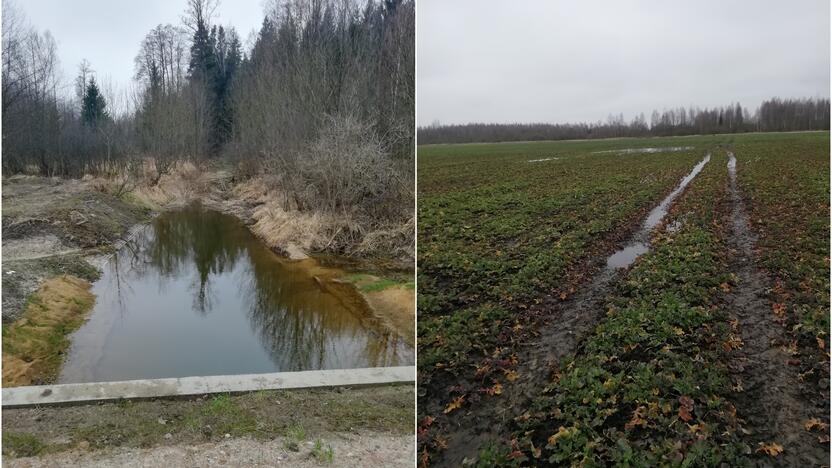 Apsemta: po melioracijos griovių tvarkymo ūkininkų laukuose kaupiasi vanduo.